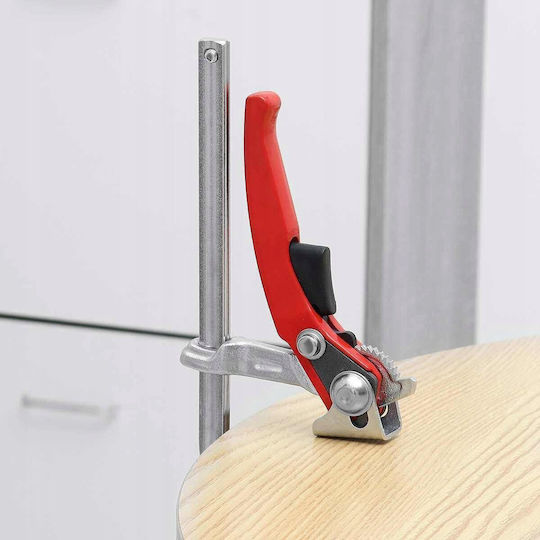 Carpenter Squeeze 80x 250mm Steel Forged + Ratchet