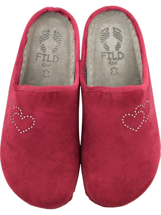 Fild Anatomic