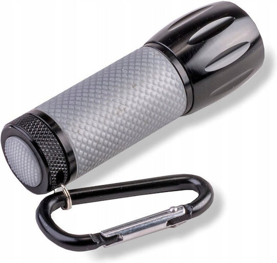 Carson Rc Pro Schlüsselanhänger-Taschenlampe LED Grau