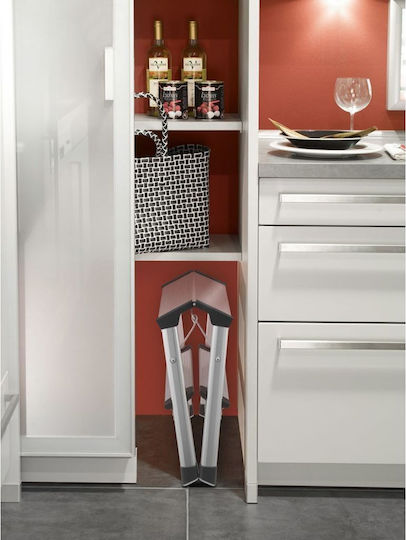 Hailo Ladder Aluminum with 2 Steps