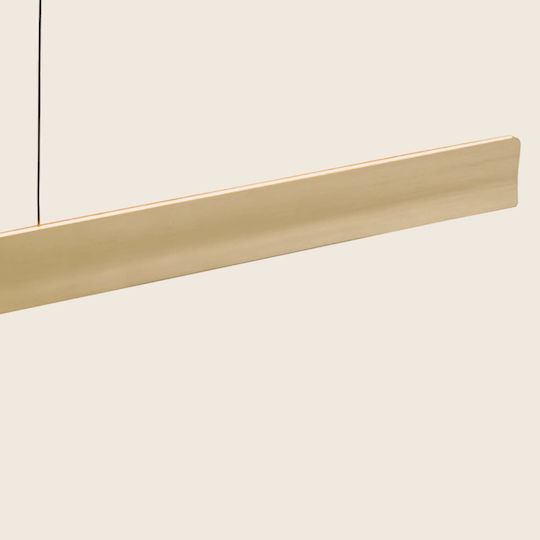 Zambelis Lights Pendant Light Gold