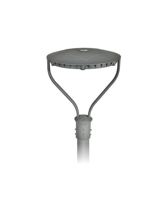 Spot Light Spot Light Außenstehlampe LED für den Außenbereich 60W mit Kaltweißem Licht