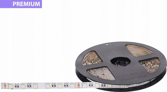 Prescot LED Лента 24V 5м Тип SMD5050