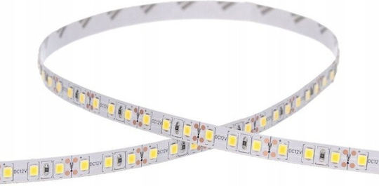 Prescot LED Strip 12V Warm White Light 5m Type SMD2835
