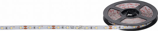 Prescot LED-Streifen 12V 5m Typ SMD2835