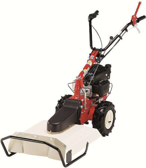 Eurosystems P70 Τετράχρονο Σκαπτικό Βενζίνης 224cc με Χειρόμιζα και Κινητήρα Loncin