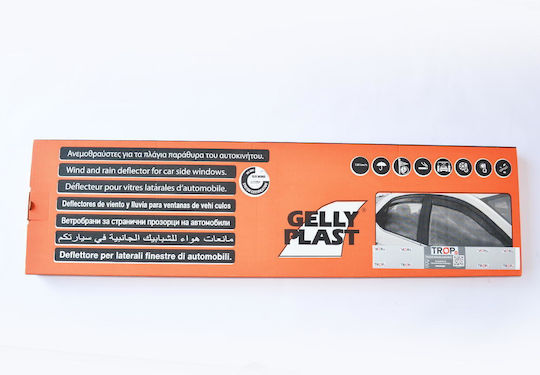 Gelly Plast Set of Windbreakers Front Car Dark Fime for Citroen C4 Picasso 2pcs