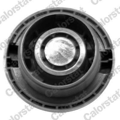 Ταπα Ψυγειου Skoda Octavia-ibiza-toledo-cordoba-golf-passat Rc0034-215