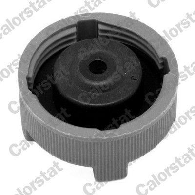 Ταπα Ψυγειου Mitsubishi Colt Vi Smart Forfour 454 Rc0086-215