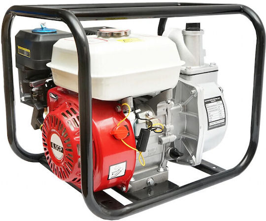 Pompa de apă de suprafață electrică 6.5hp