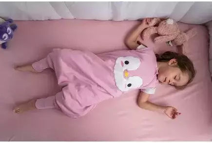 Baby Bliss Winter Sleeping Bag with Feet 2.5 Tog Penguin Pink