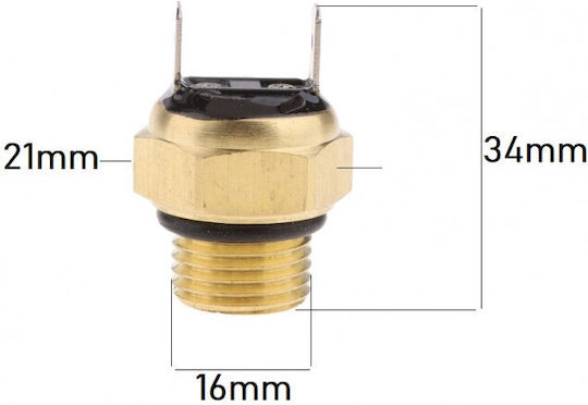 Atv 300cc Termostat