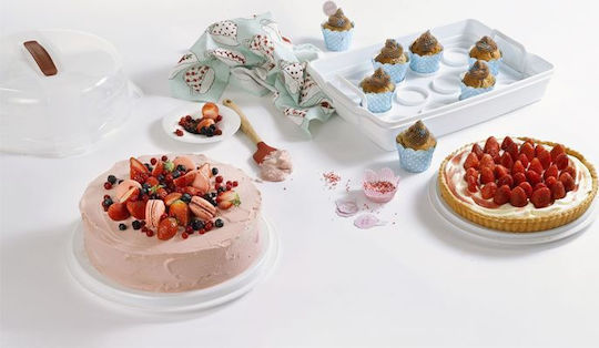 Curver Kuchenständer Kunststoff mit Deckel Transparent 34.7x34.7x15.6cm