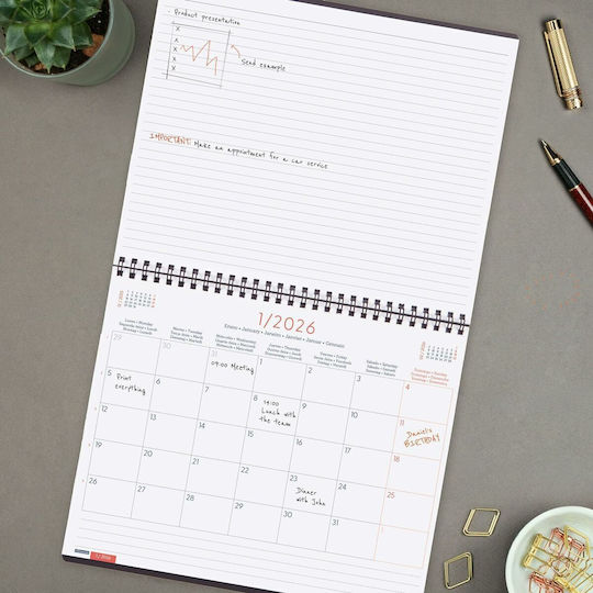 Finocam Organizer Grau Papier 25 X 20 Cm