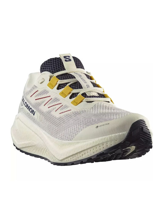 Aero Blaze 3 Grvl Sport Shoes Running Waterproof with Gore-Tex Membrane Grvl Vanila / Astra