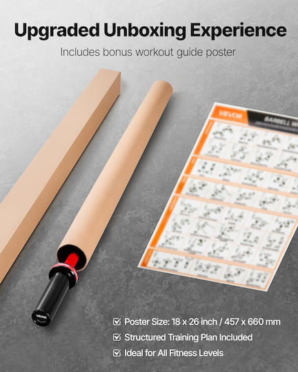 Vevor Ίσια Μπάρα Ολυμπιακού Τύπου Φ50 10kg Μήκους 120cm με Κολάρα Ασφαλείας