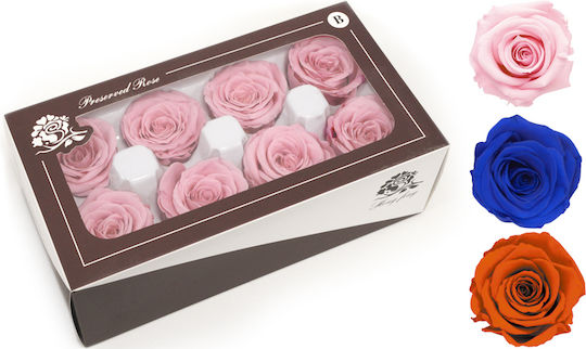 Paper Pack Dekorative Blume für DIY-Bastelprojekte Rosa 8Stück