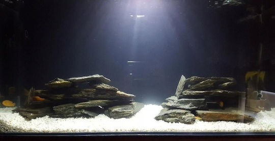 Sera Reef Salt Aquarium Wasserbehandlung 20kg