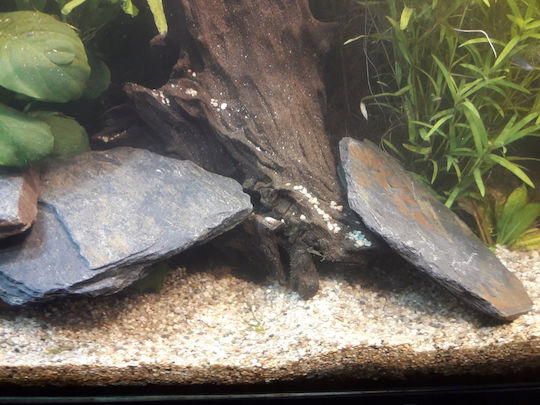 Sera Reef Salt Aquarium Wasserbehandlung 20kg