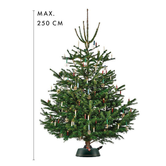 Length 250cm.