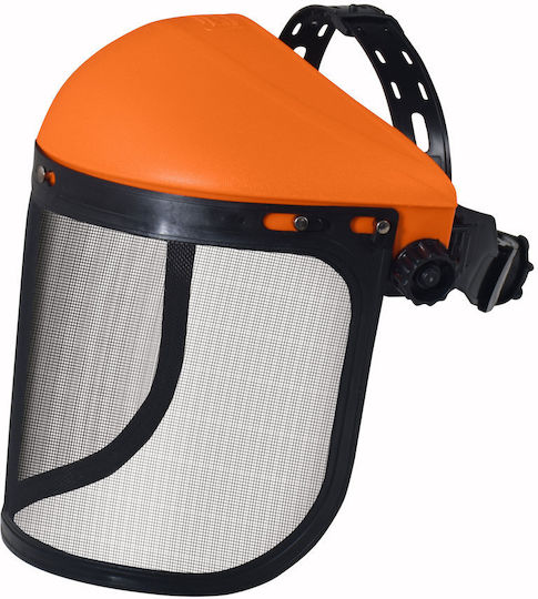 Protection Visor
