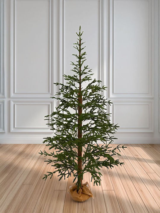 Weihnachtsbaum Angel Pine 240cm