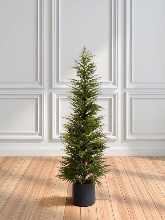 Real Weihnachtsbaum 180cm Real Weihnachtsbaum 180cm