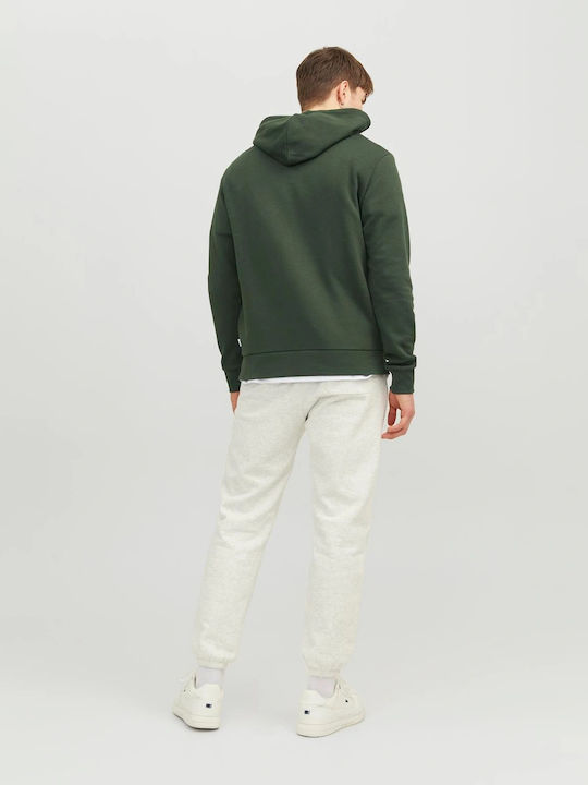 Noos Sweatshirt with Hood Mountain View