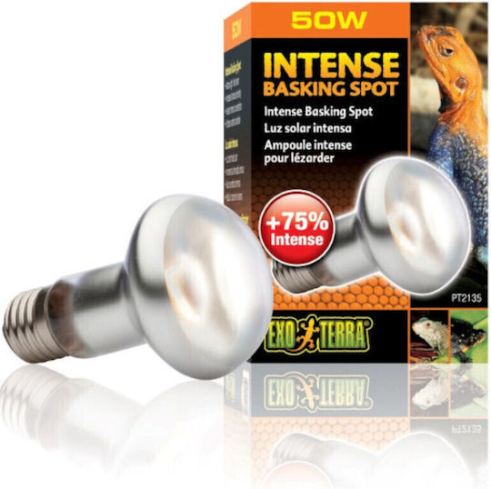 Exo Terra Intense Basking Spot 100w Accessory for Reptiles Terrarium