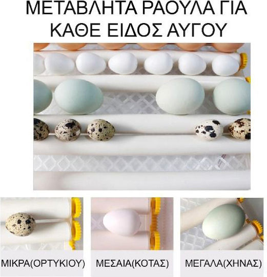 Automatic Egg Incubator 36 Eggs – Egg Incubator with Automatic Water Supply Base