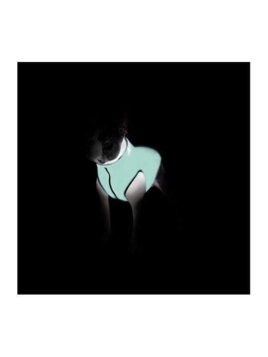 Wau Dog Waterproof Reversible Fluorescent Green Dog Coat 40cm M