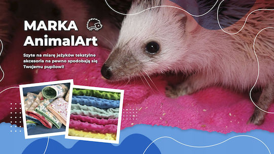 Vitapol Vita Herbal Rodents Food Rabbits Kokcivit Forte 100ml 12314835 5904479041647