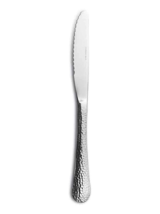 GTSA Knives General Use from Stainless Steel 22.3cm 12pcs