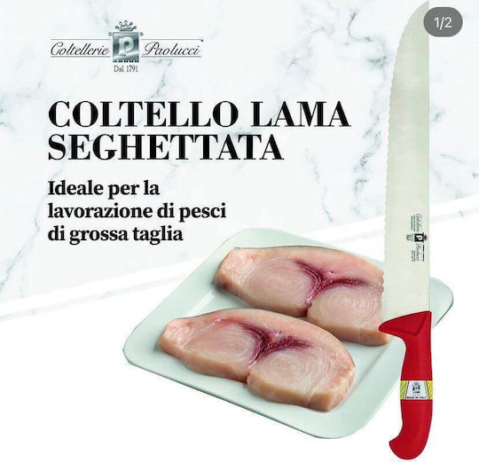 Paolucci Coltellerie Chef Knife Made of Stainless Steel 31cm