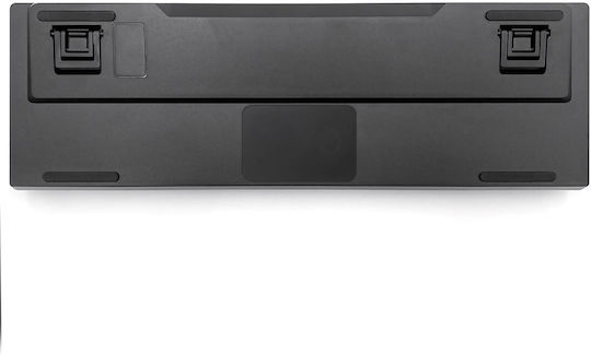 Media-Tech Red Core MX60 Gaming Mechanical Keyboard 60% with Cherry MX Red switches and RGB lighting (International English) Green/Grey/Black