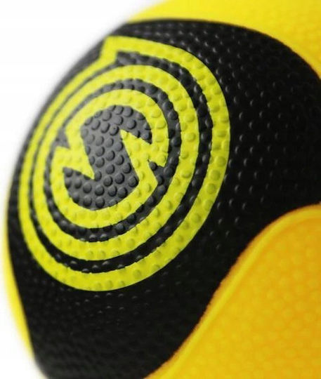 Spikeball Pro Balls 2pcs