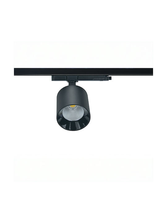 Dimming LED Natürliches Weiß Spot in Weiß Farbe