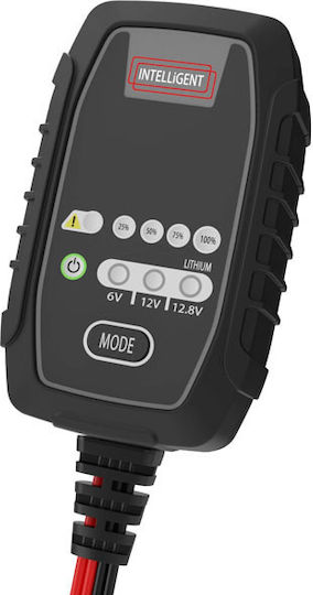 Amarad Car and Motorcycle Battery Charger 6/12V 2.5A
