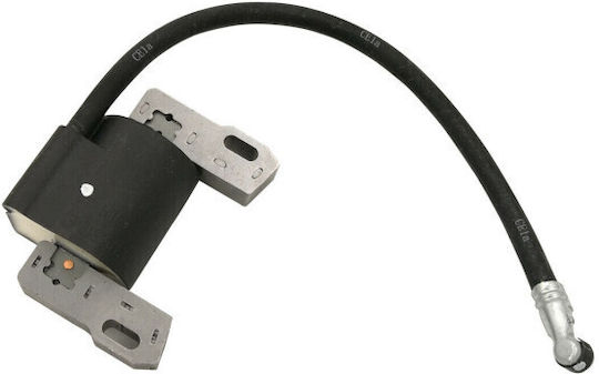 Ignition Briggs&stratton 843931
