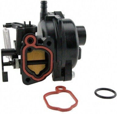 Vergaser Briggs&Stratton 799584