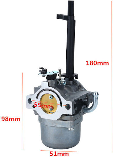 Carburetor Briggs&stratton 591378 699966 699958