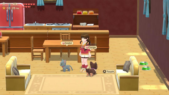 Harvest Moon: Home Sweet Home Special Edition Switch Game