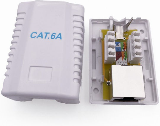 Cablexpert Cat6a Ftp Single Port Surface Mount Box White