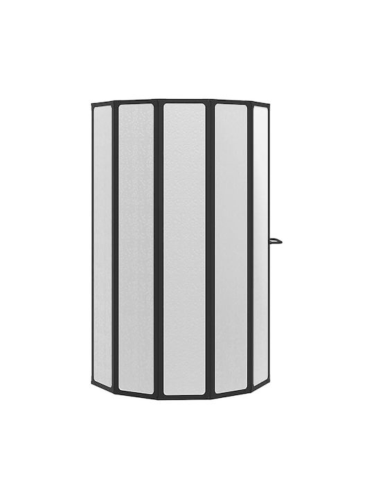 vidaXL Divider de verandă Duș cu Pliabil Ușă 140x168cm Mat Negru