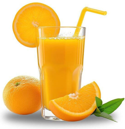 Sogo Electric Juicer 140W with 350ml Capacity