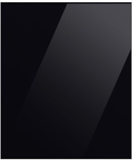 Samsung Panoul ușii pentru frigider Black