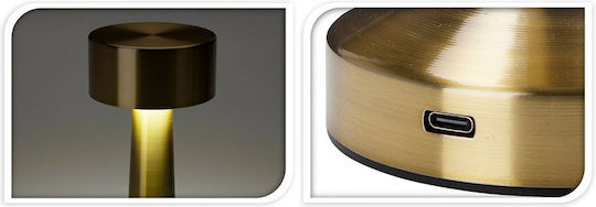 LED Light Fixture