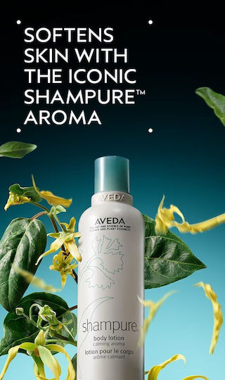 Aveda Shampure Hautpflegeset für Reinigung Körperreinigung 3Stück
