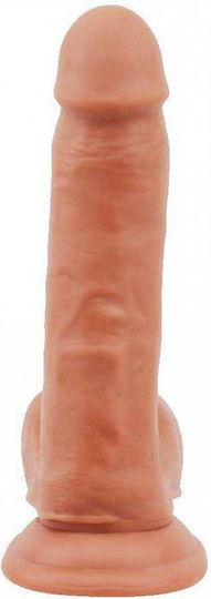 Chisa Novelties Fornicator Glass Dildo with Balls and Suction Cup Flesh 19cm