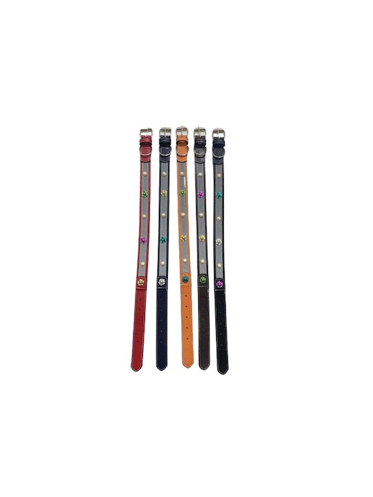 Dog Collar 25mm x 52cm 12pcs (Various Colors)
